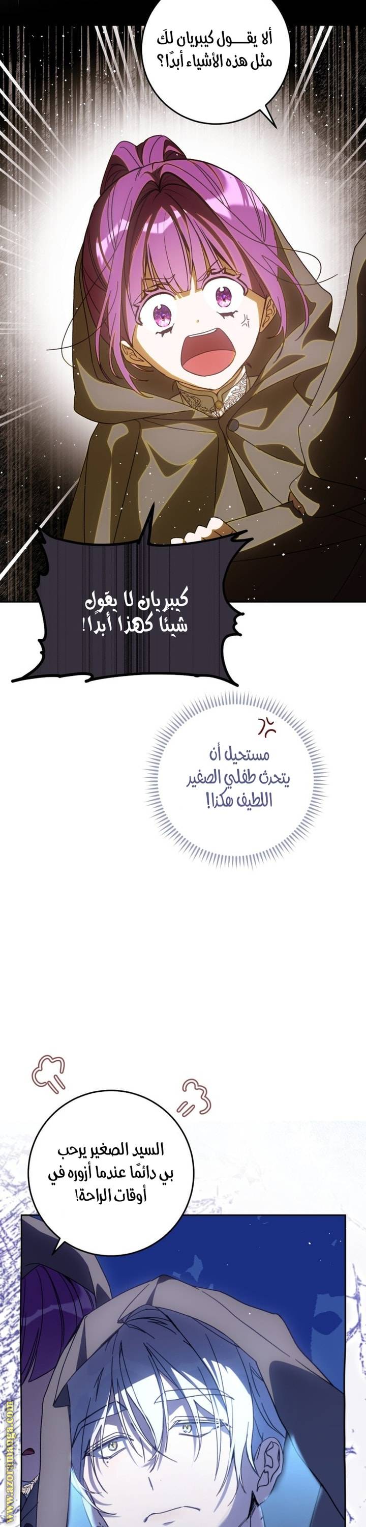 الصفحة 32