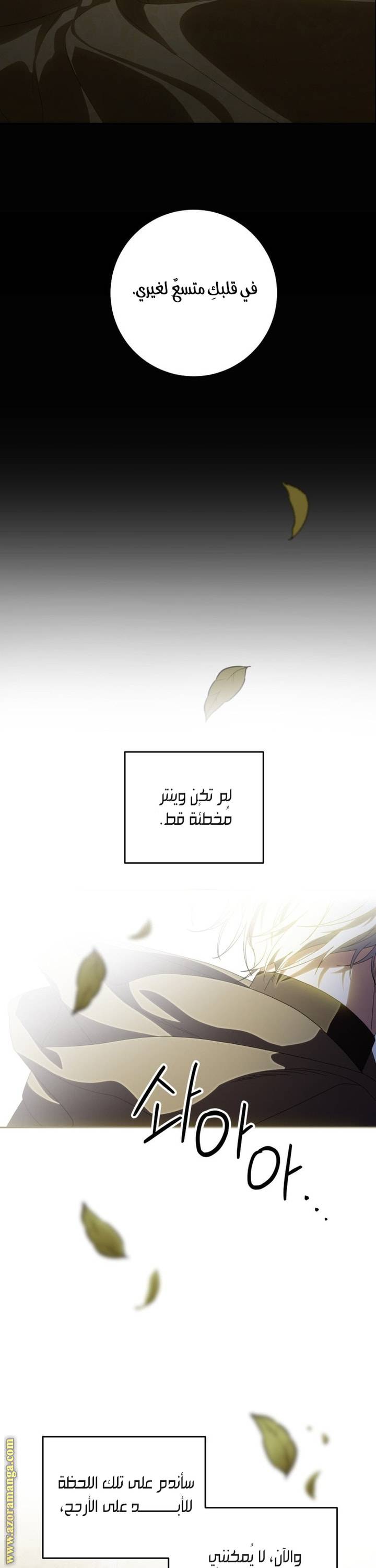 الصفحة 41