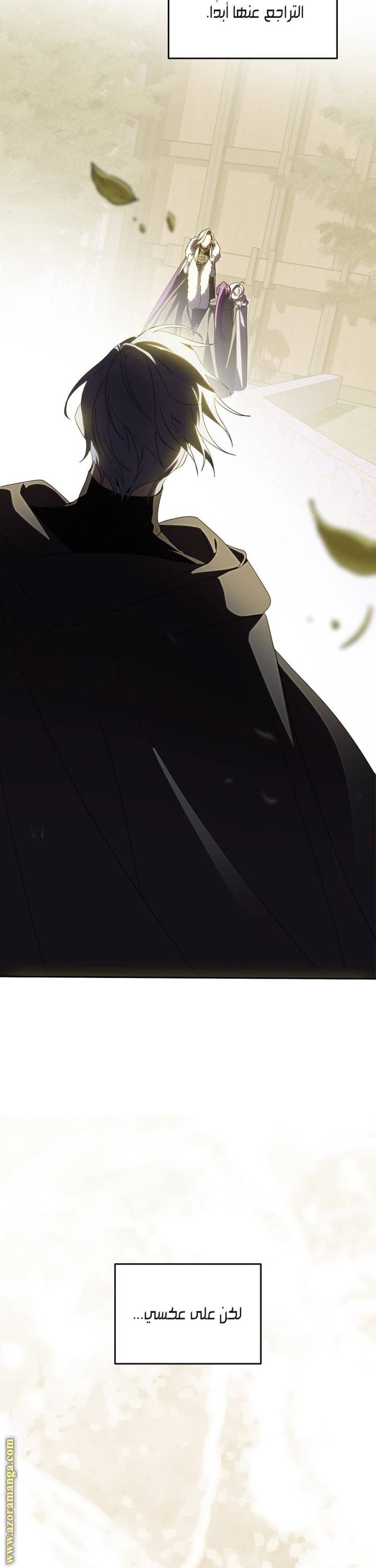 الصفحة 42