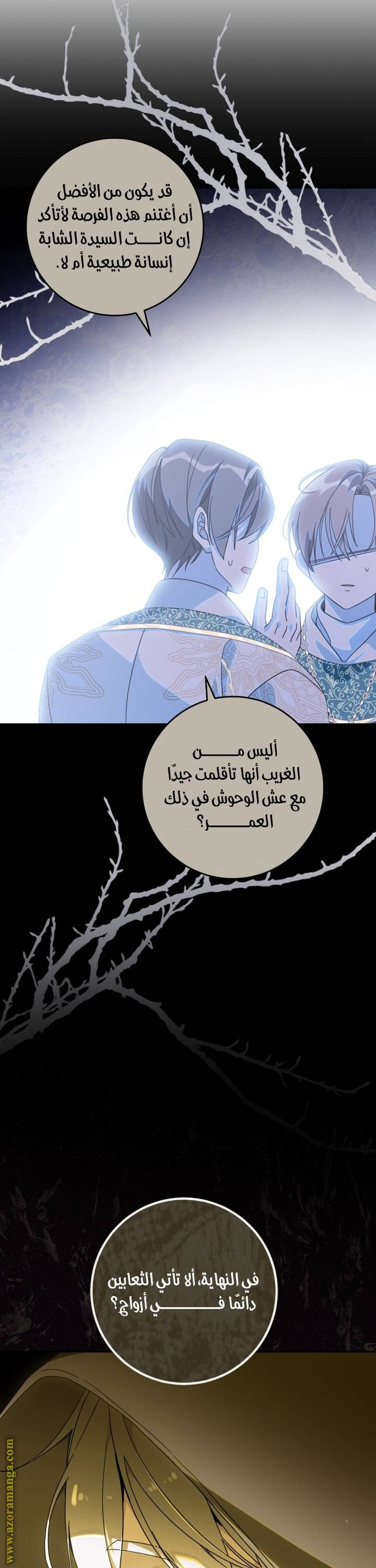 الصفحة 47