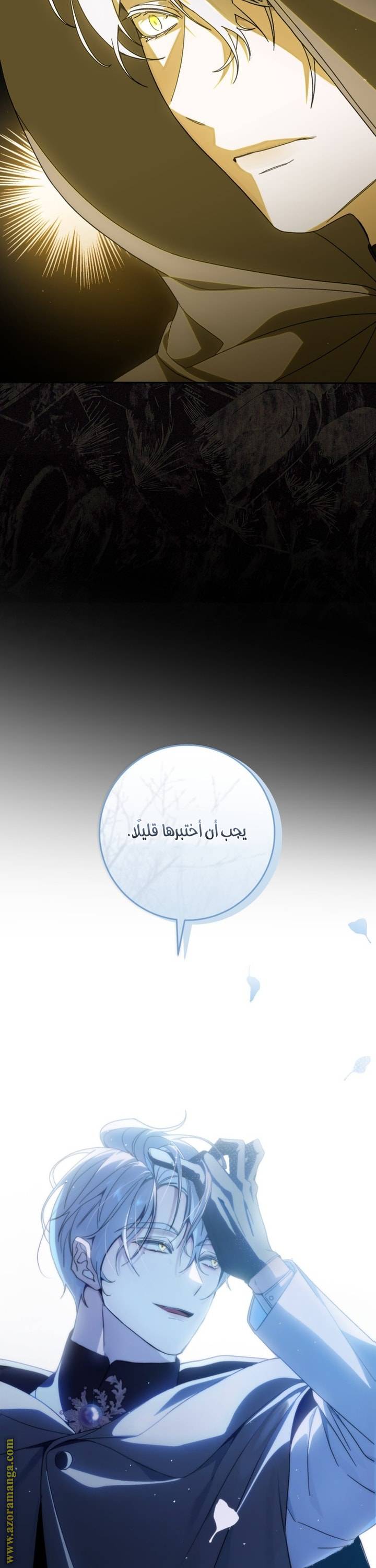 الصفحة 48