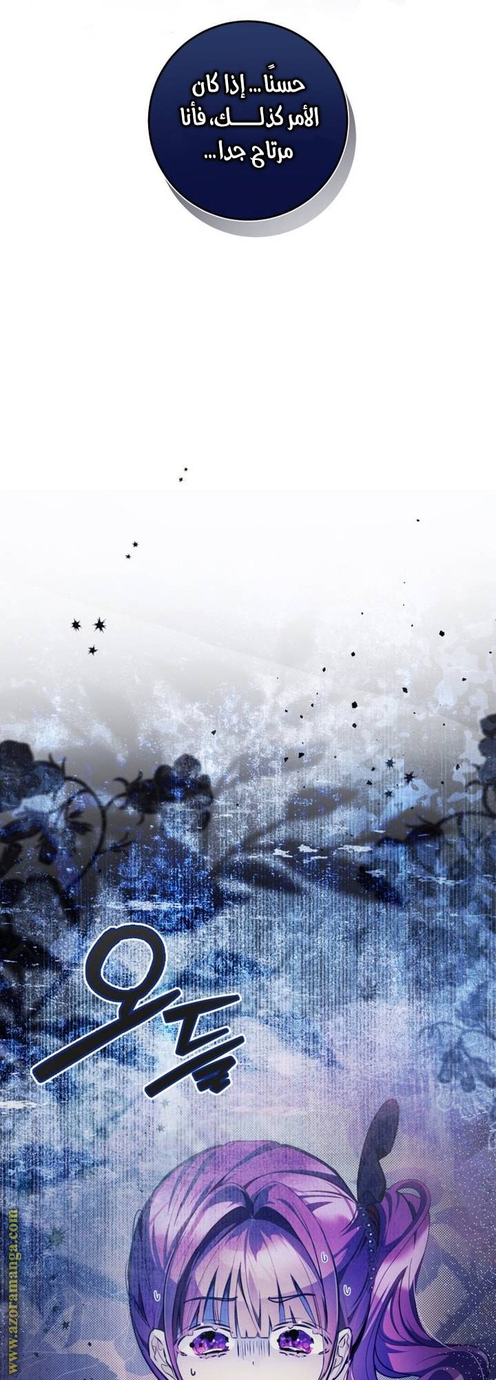 الصفحة 25