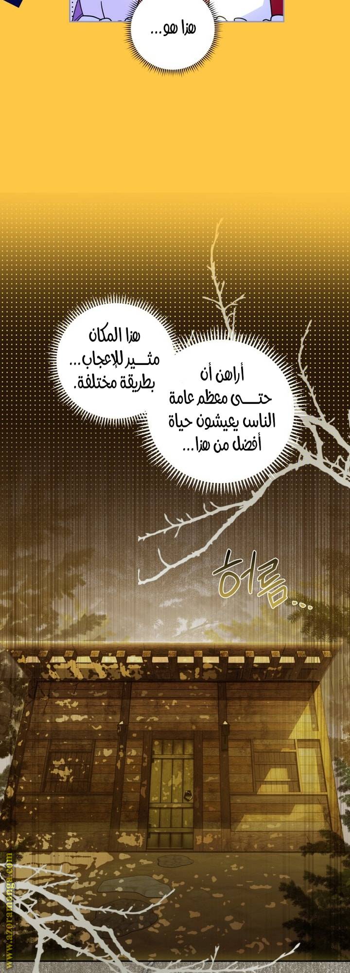 الصفحة 20