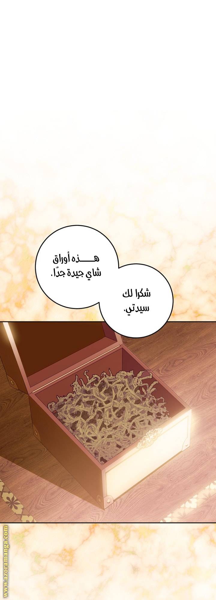 الصفحة 29