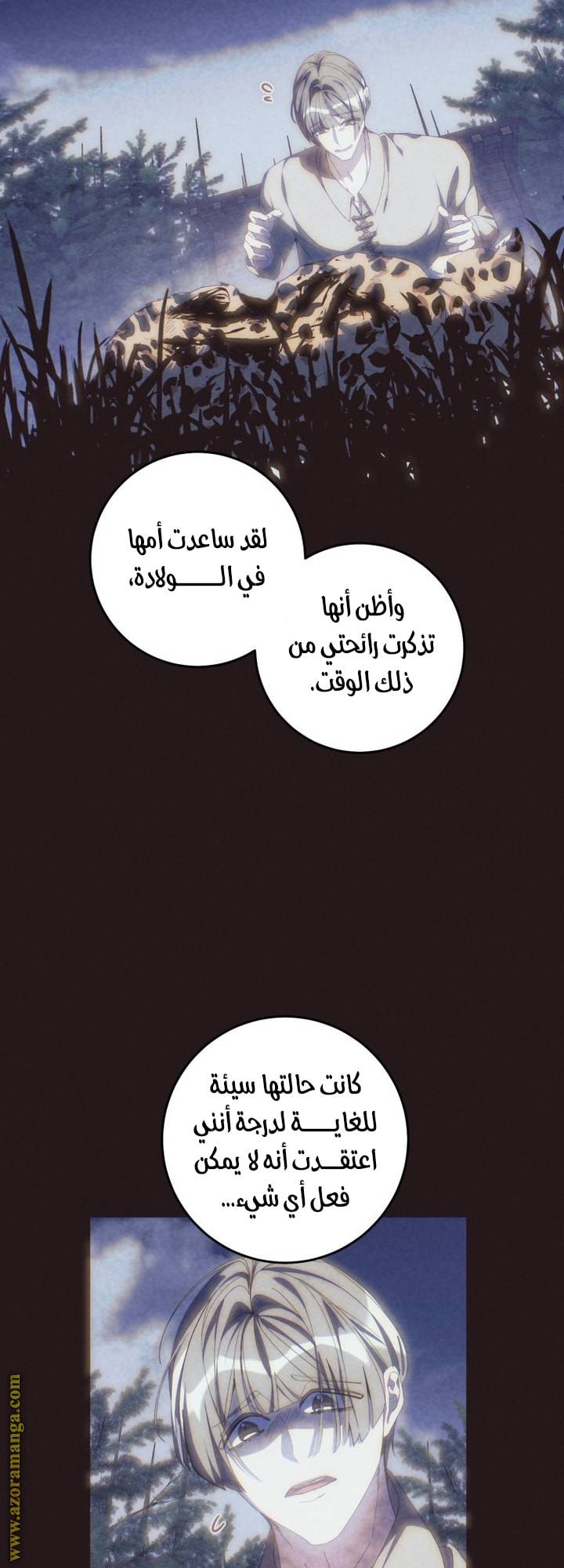 الصفحة 37