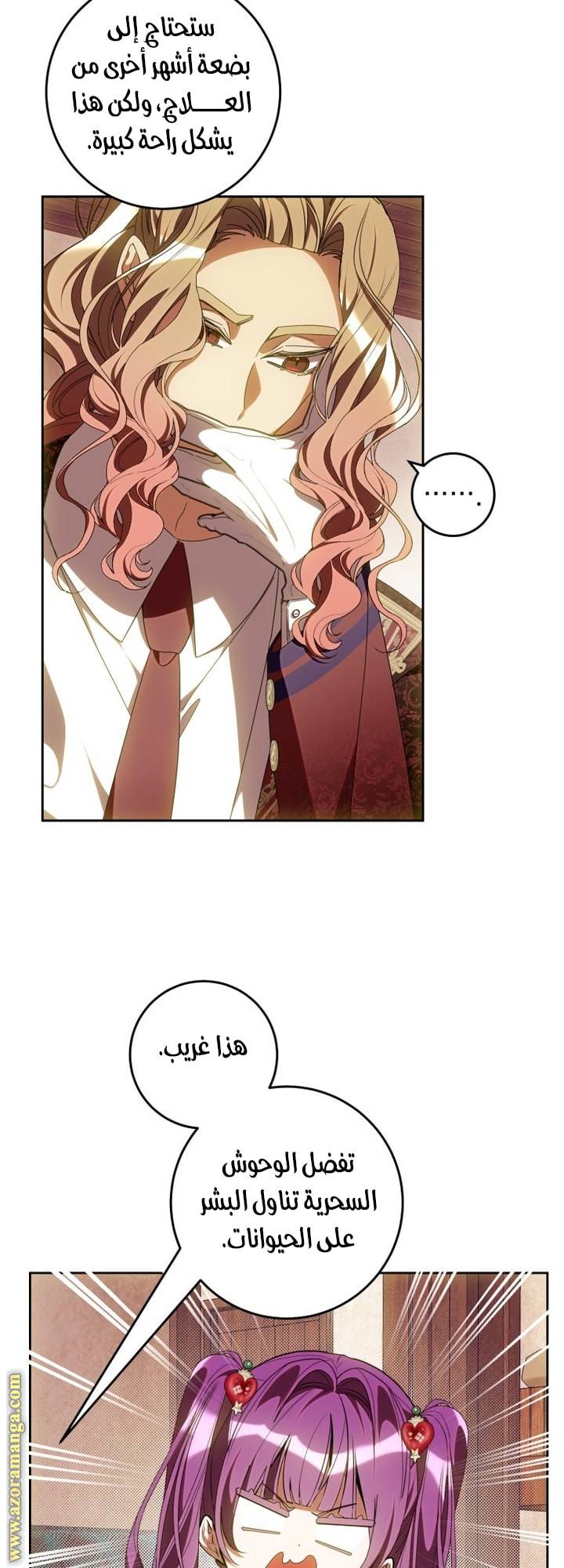 الصفحة 41