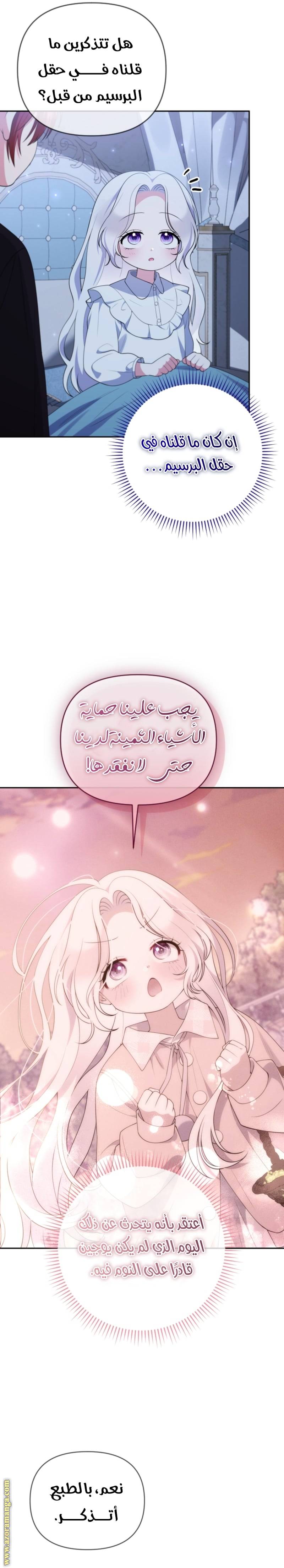 الصفحة 17