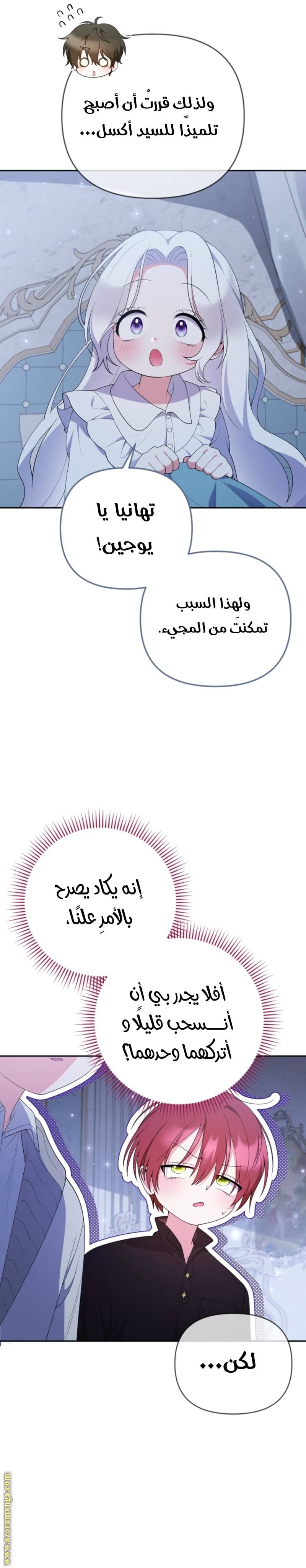 الصفحة 19