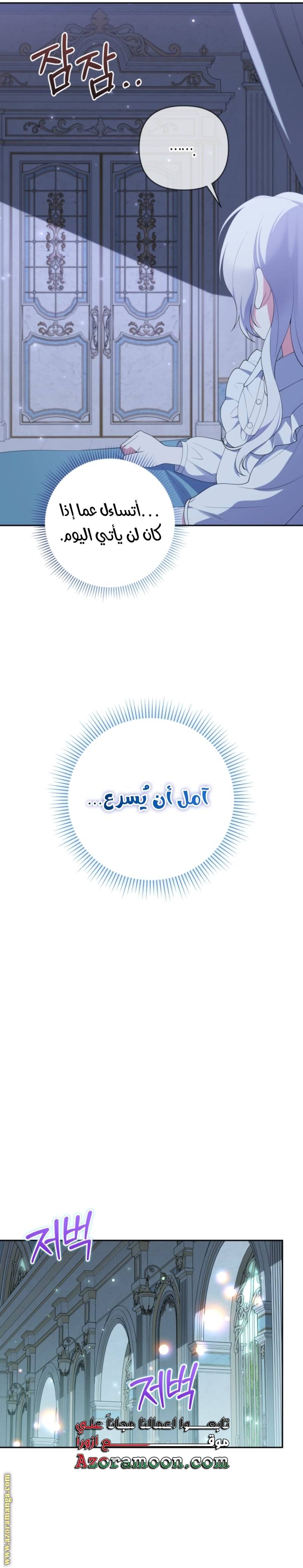الصفحة 29