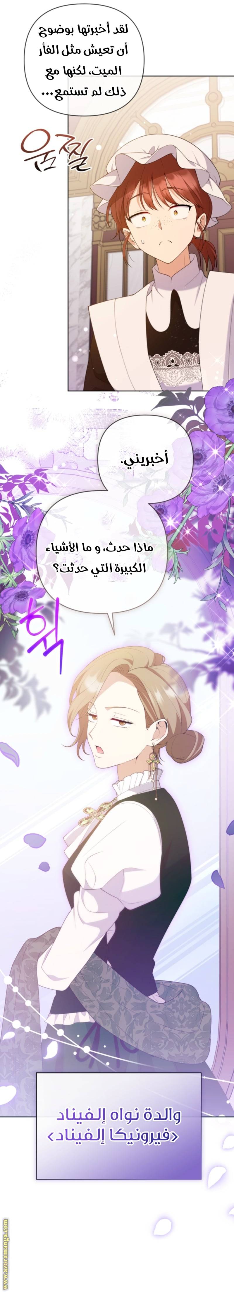 الصفحة 19