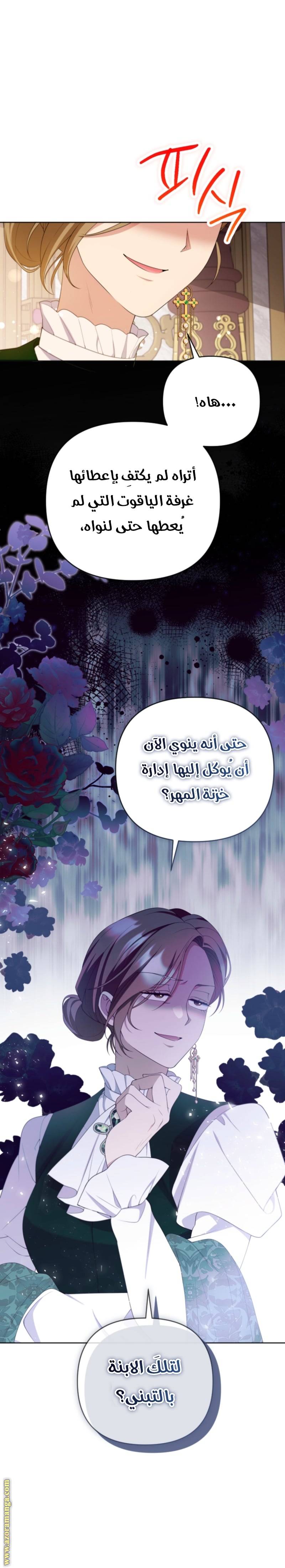 الصفحة 21