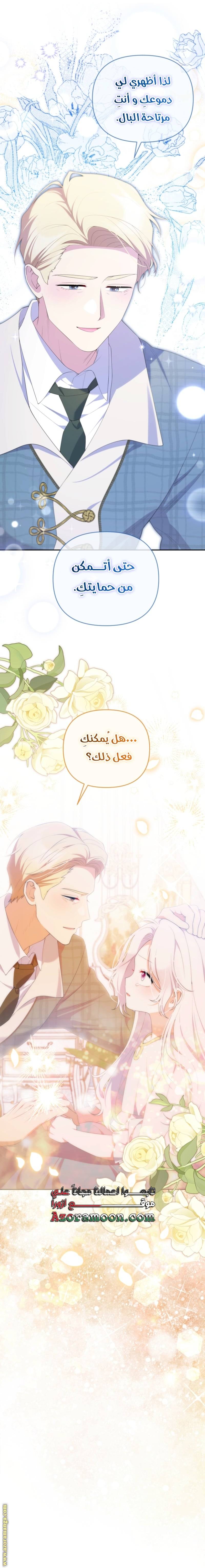 الصفحة 13