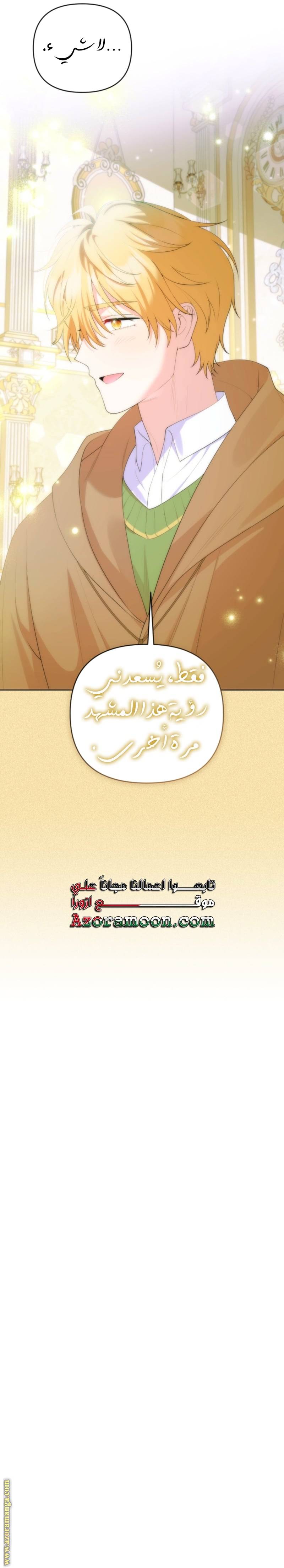 الصفحة 29