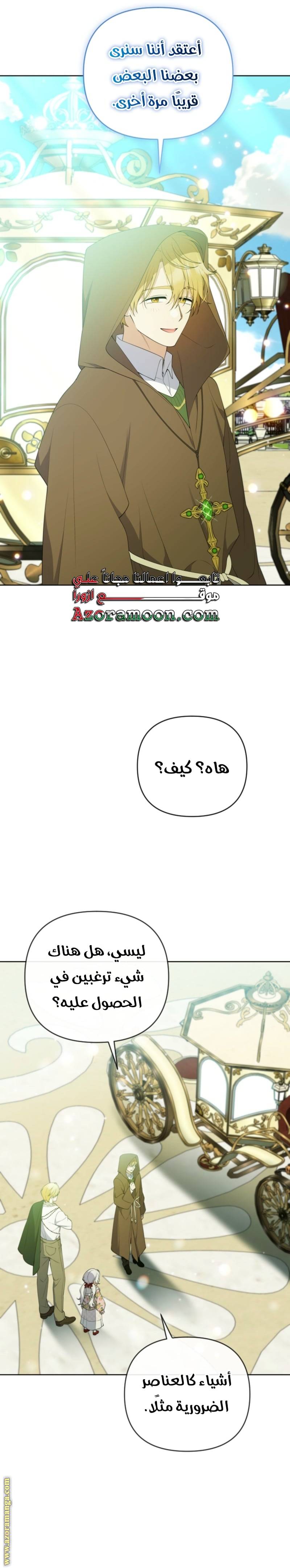 الصفحة 31