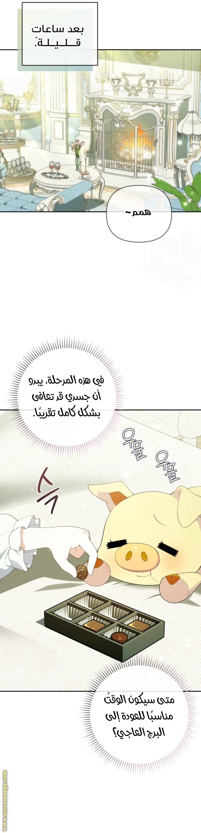 الصفحة 14