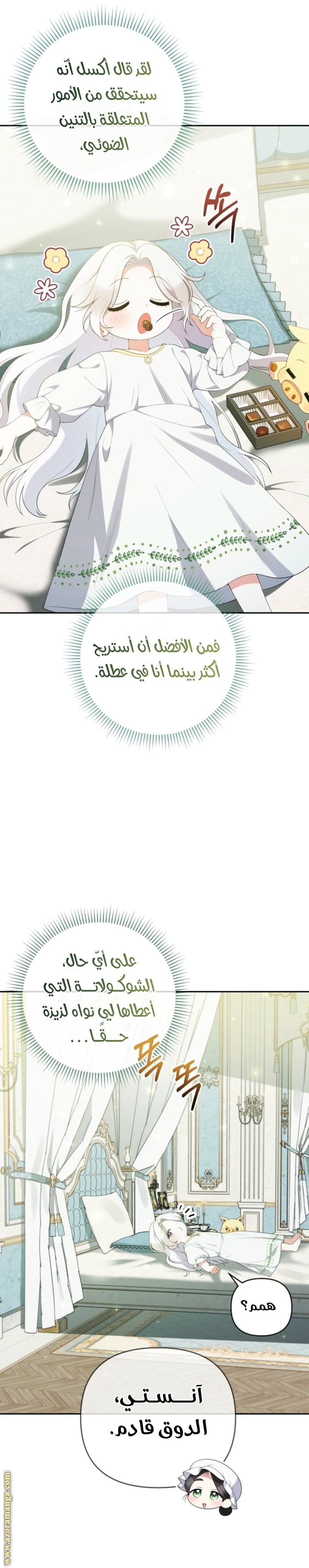 الصفحة 15
