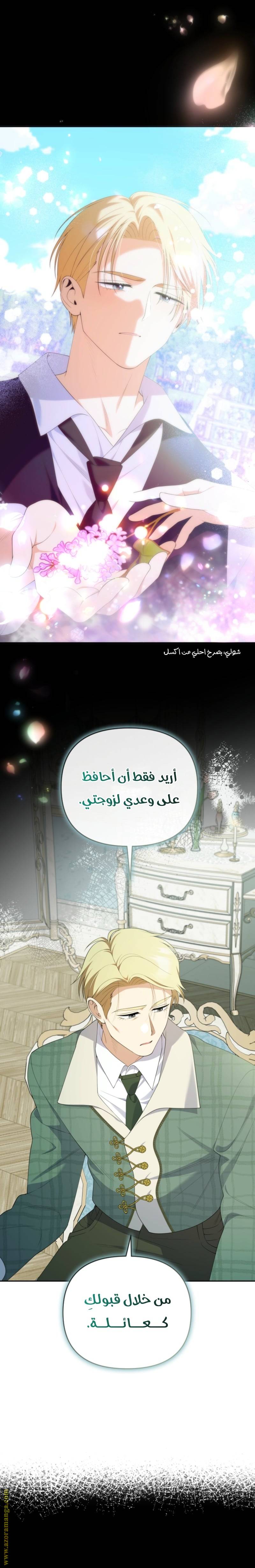 الصفحة 25