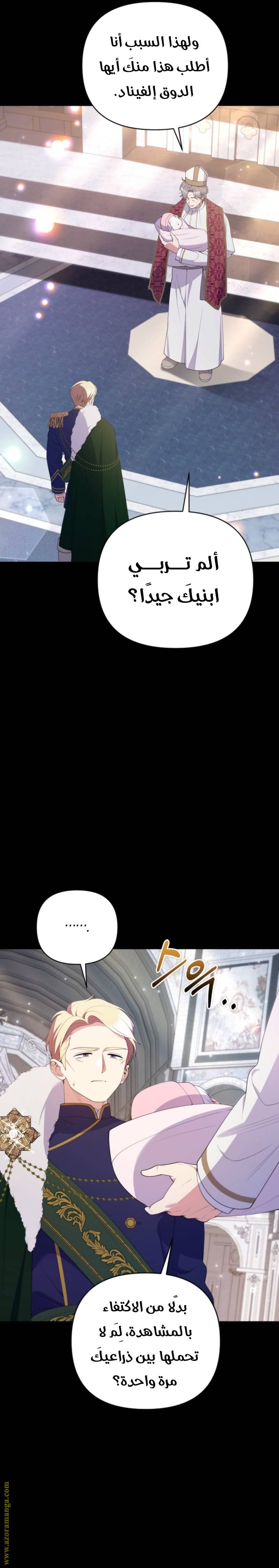 الصفحة 29