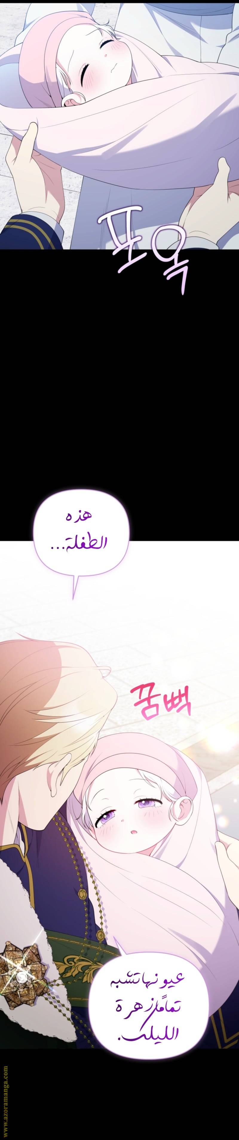 الصفحة 30