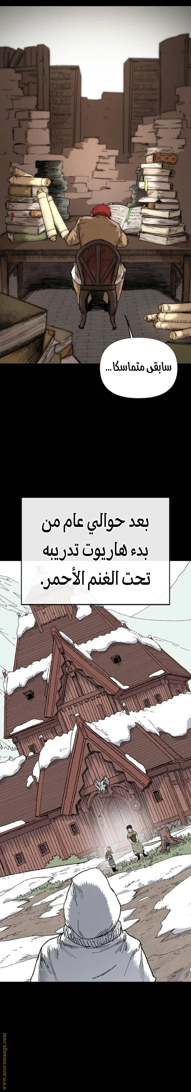 الصفحة 29