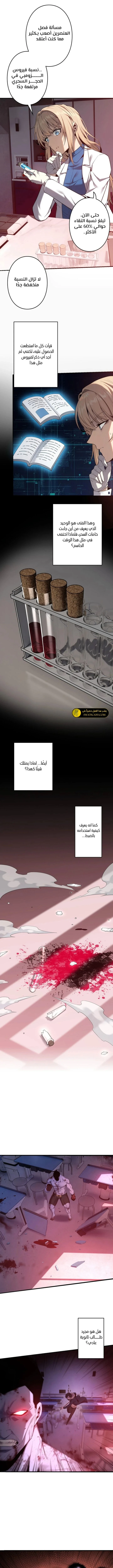 الصفحة 3