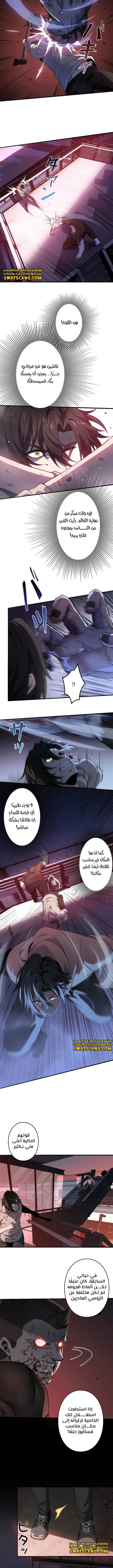 الصفحة 7
