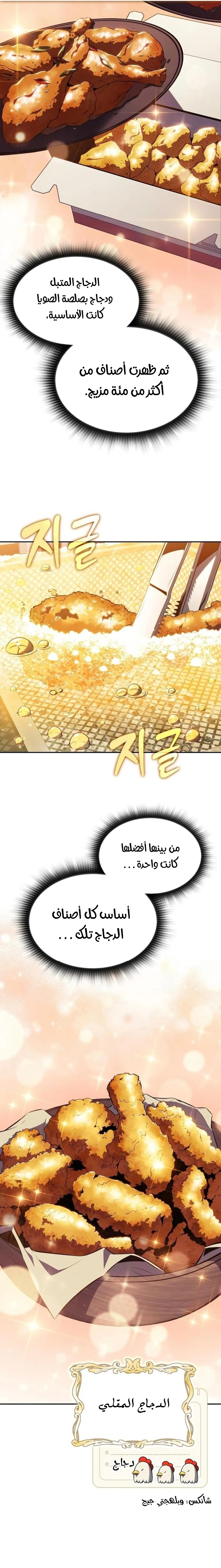 الصفحة 17