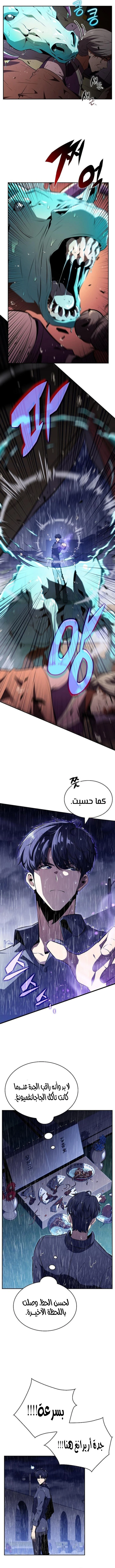 الصفحة 13