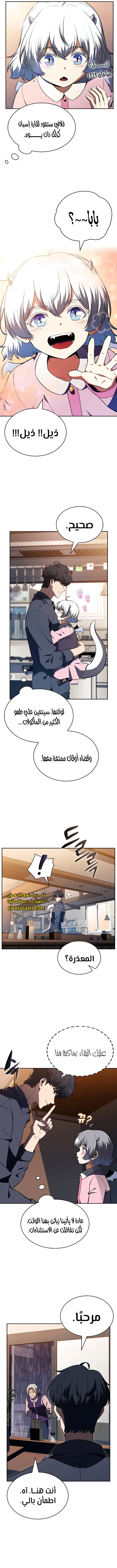 الصفحة 13