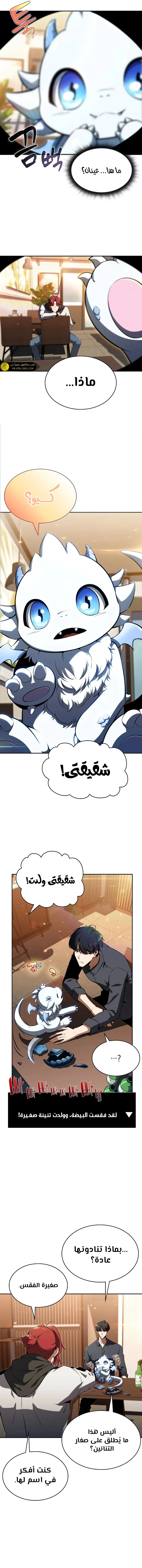 الصفحة 22