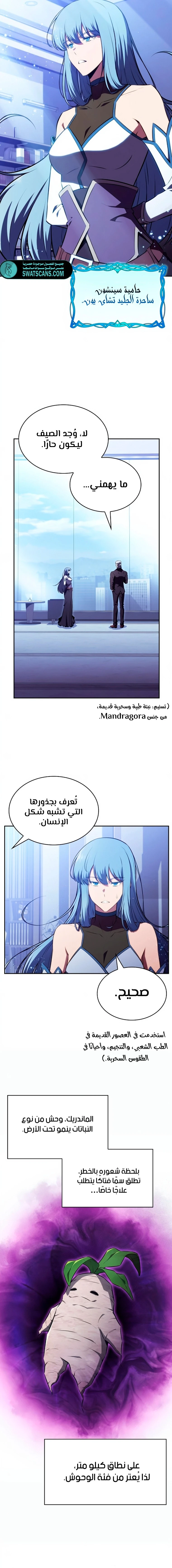 الصفحة 13