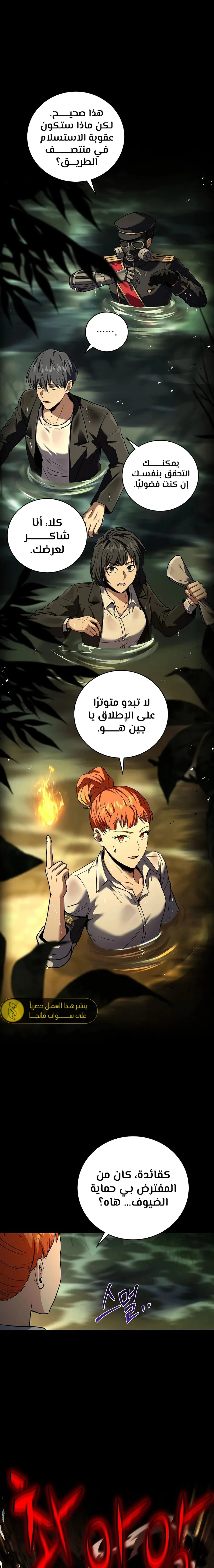 الصفحة 13