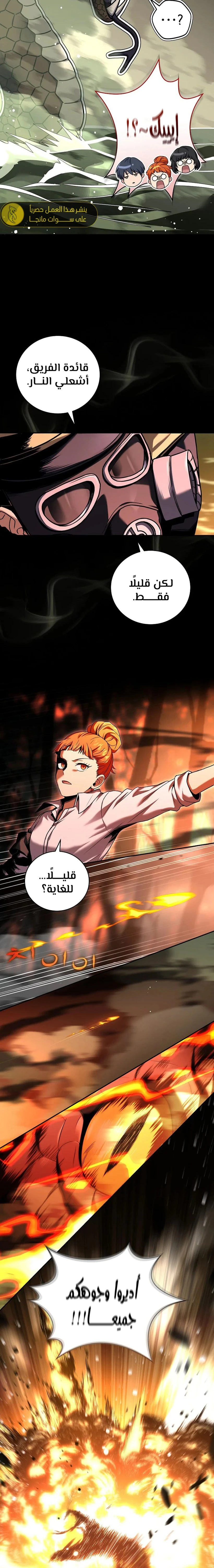 الصفحة 17