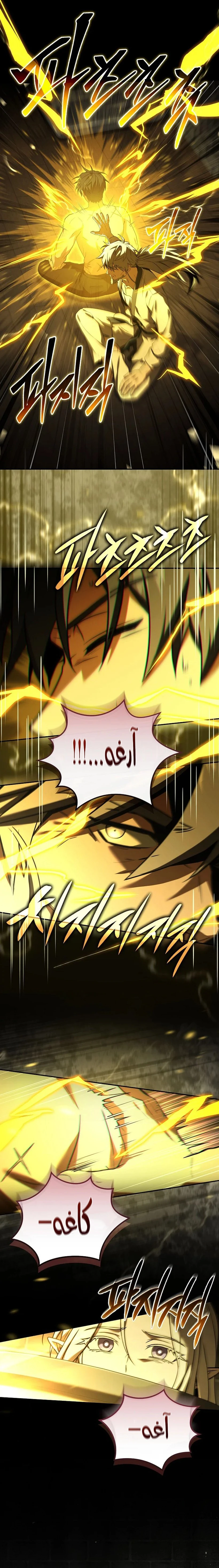الصفحة 17