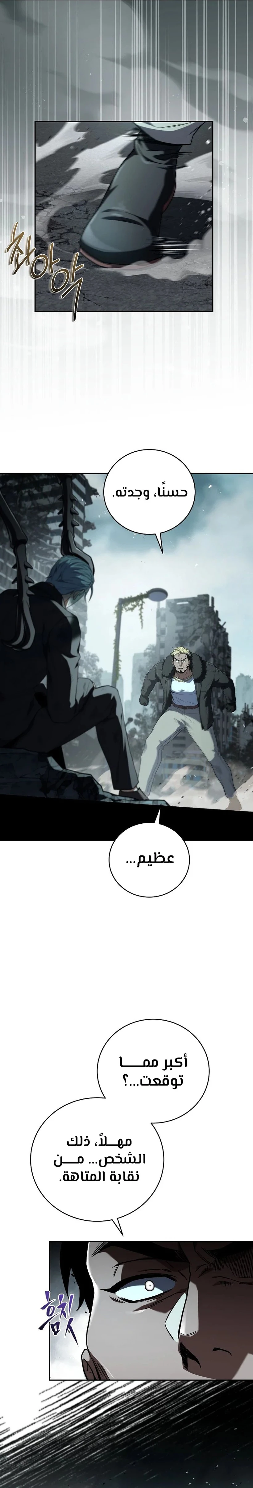الصفحة 17