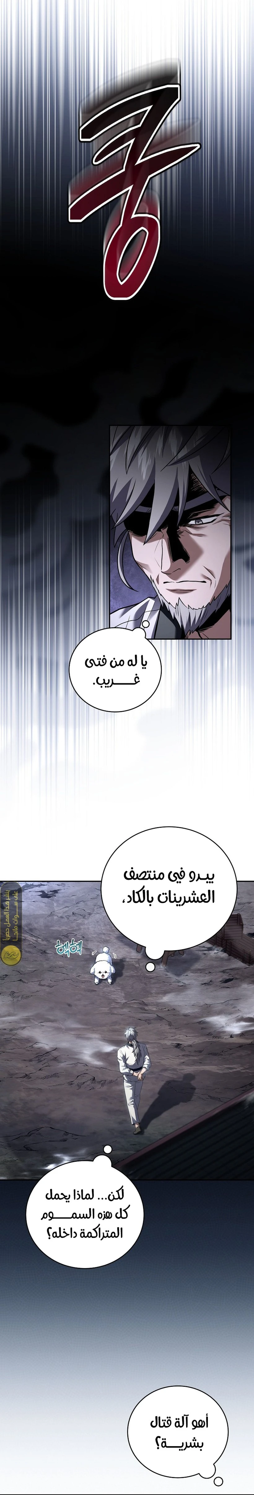 الصفحة 19