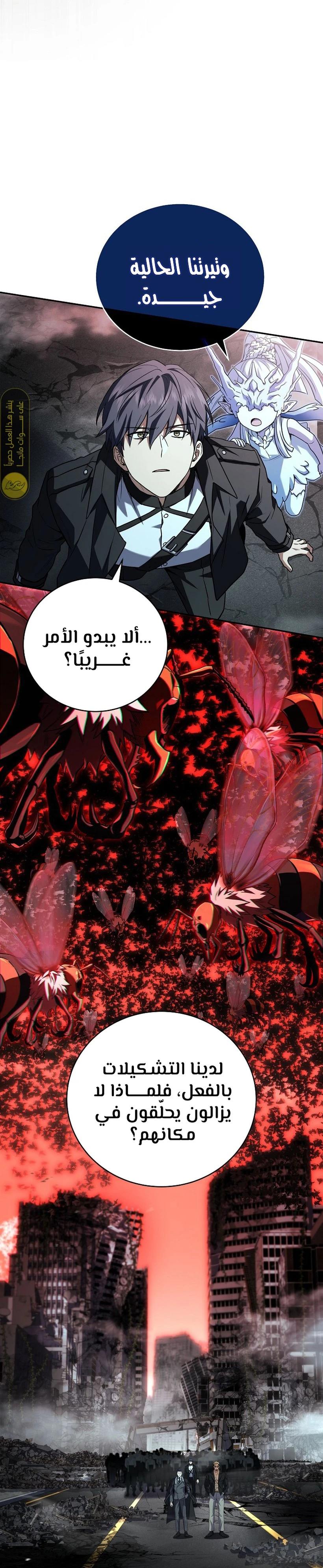 الصفحة 13