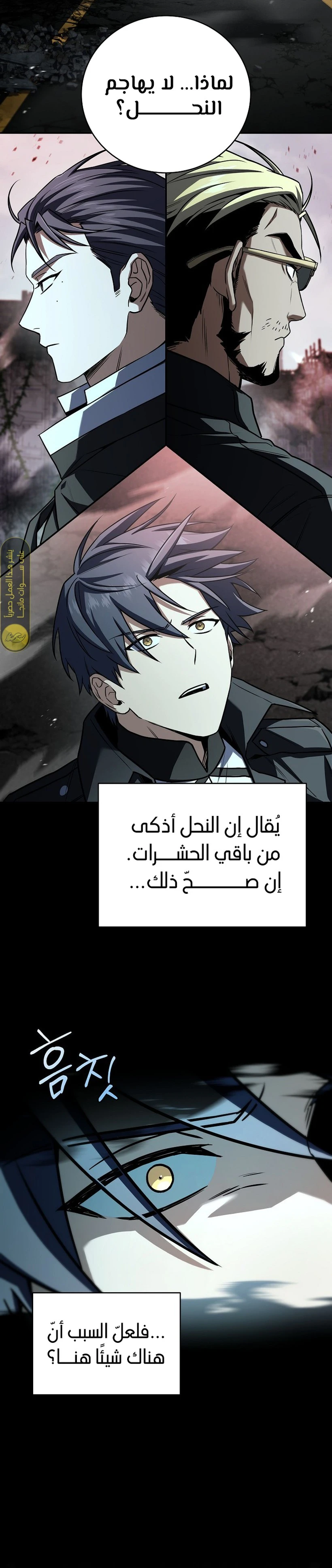 الصفحة 14