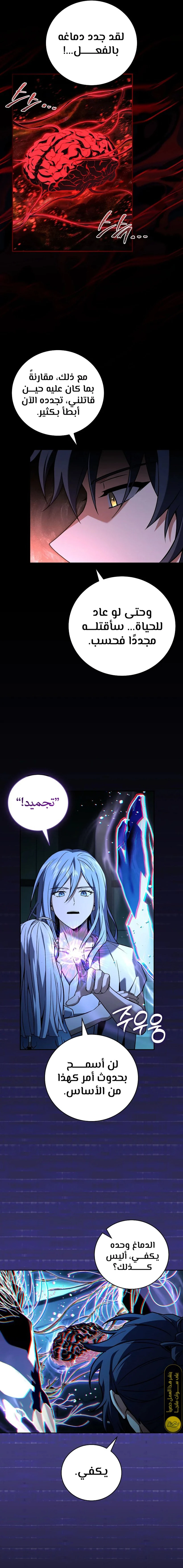 الصفحة 13