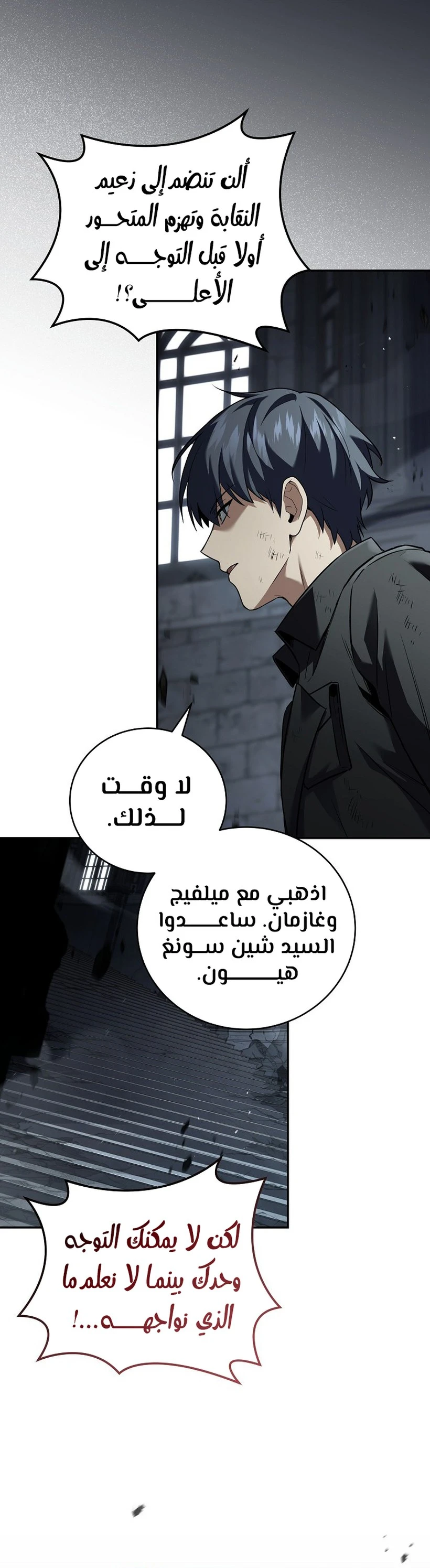 الصفحة 13