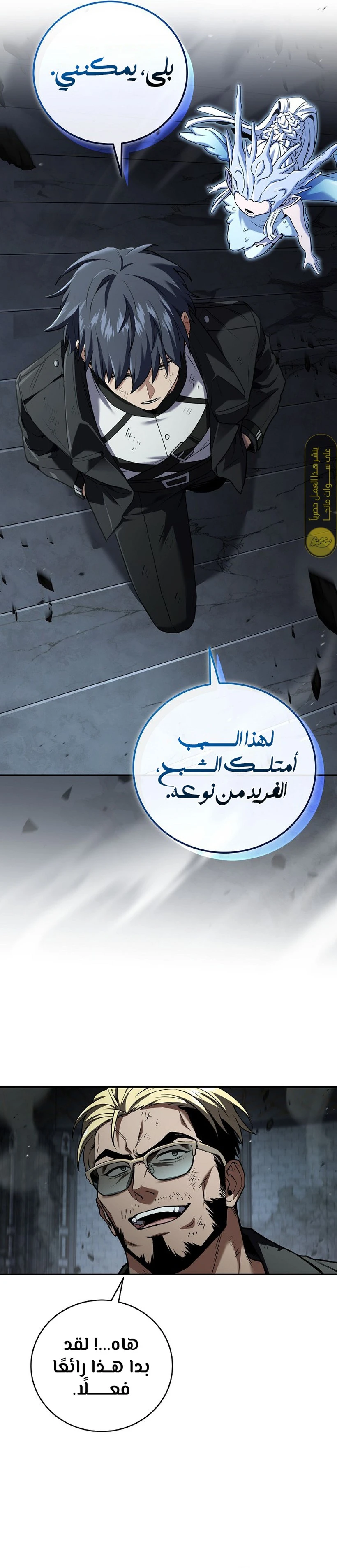 الصفحة 14