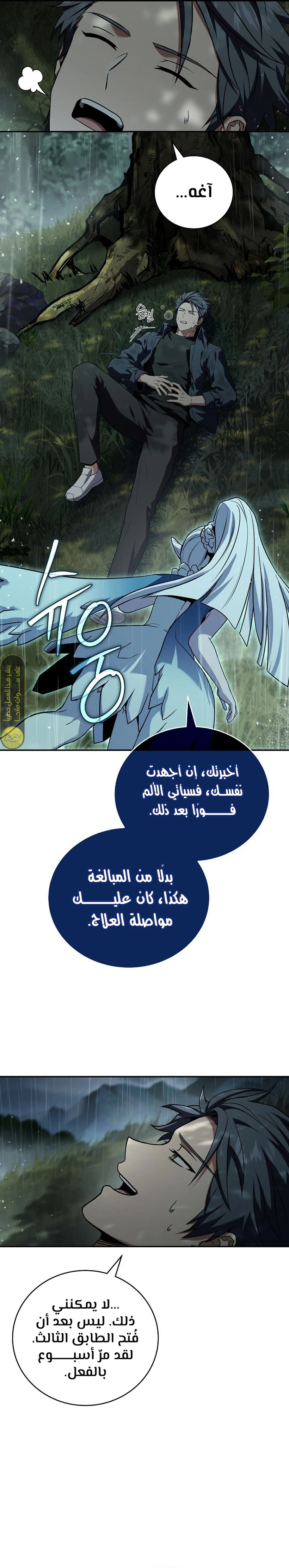 الصفحة 13