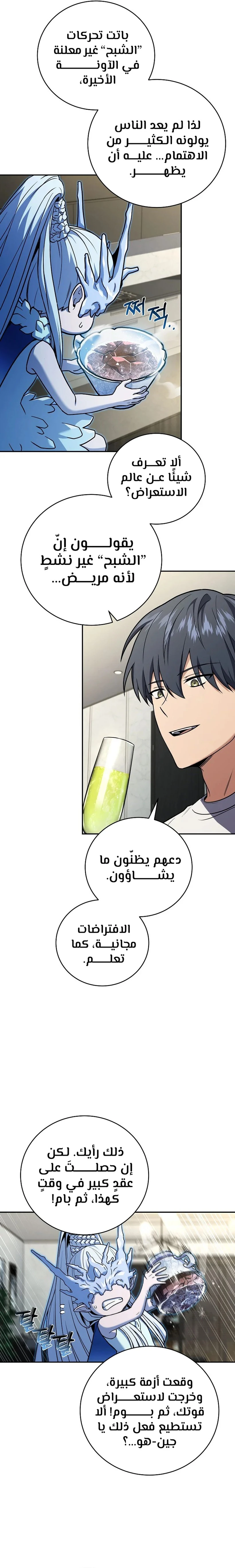 الصفحة 13