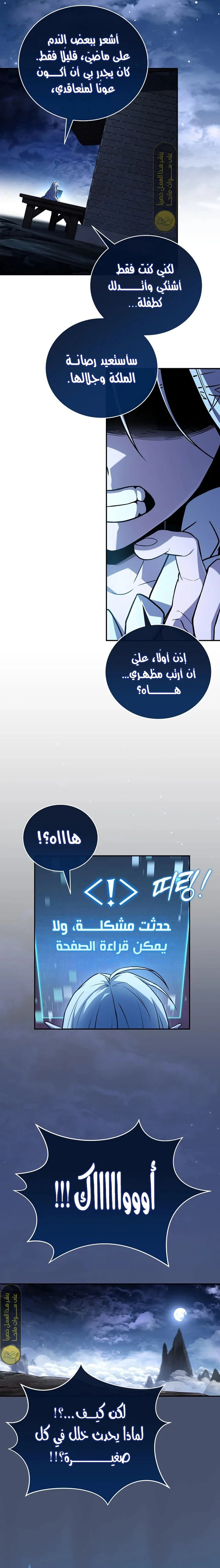 الصفحة 13