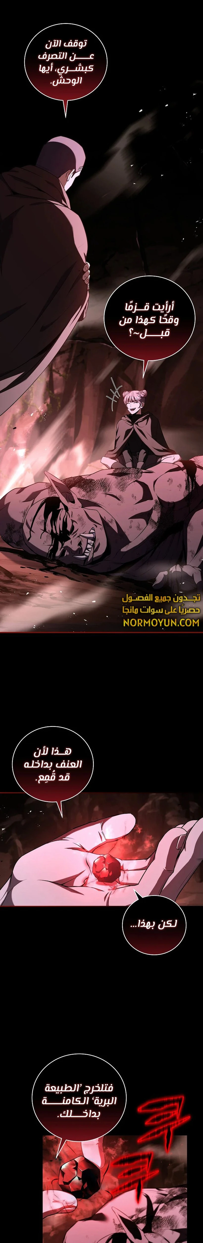 الصفحة 13