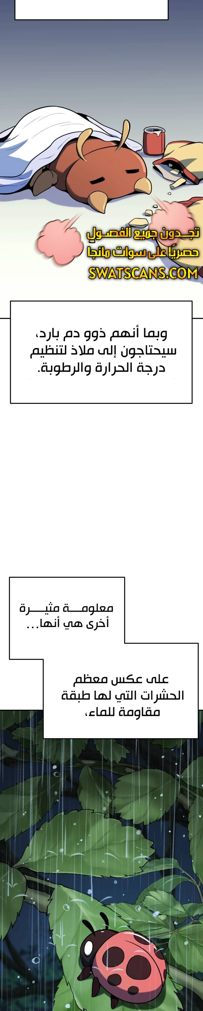 الصفحة 10