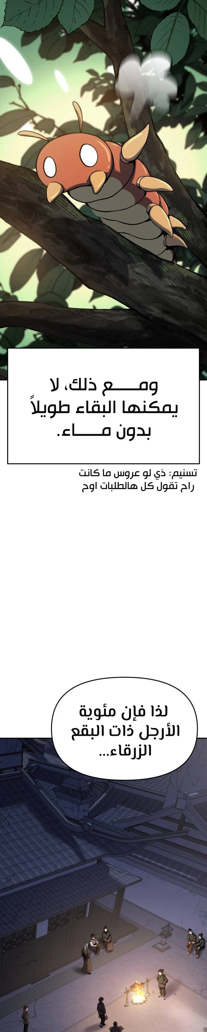 الصفحة 12