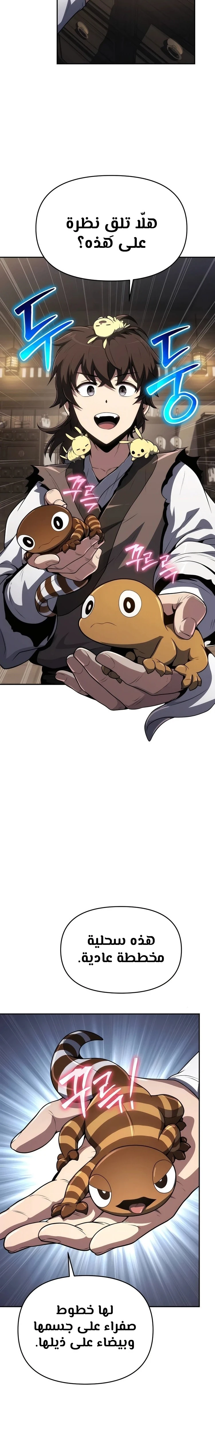 الصفحة 10