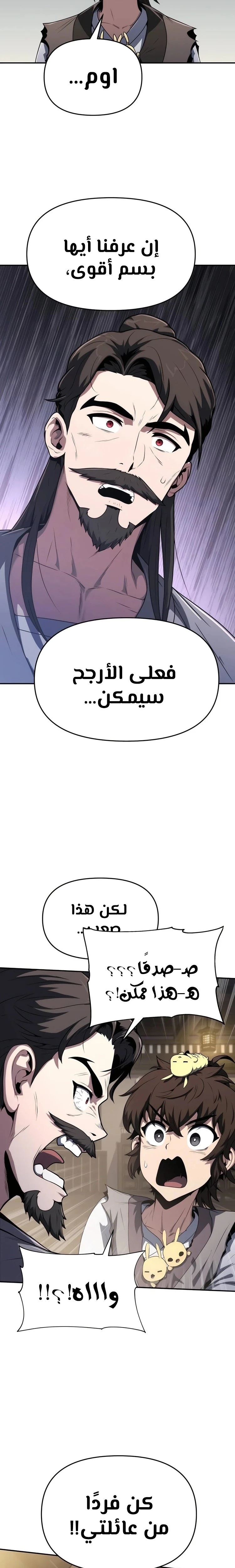 الصفحة 13