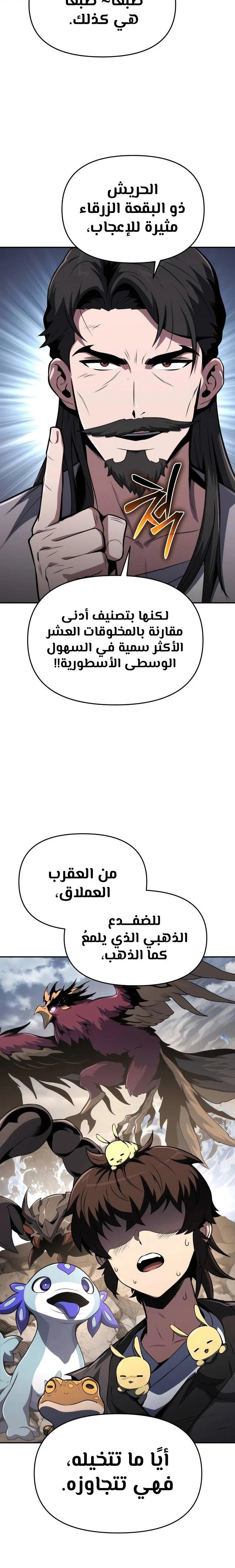 الصفحة 17